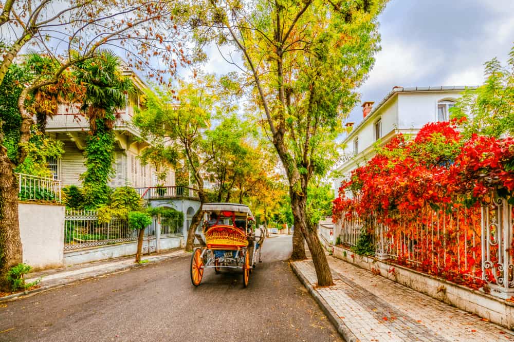 ??????? ???????? ?? ???????