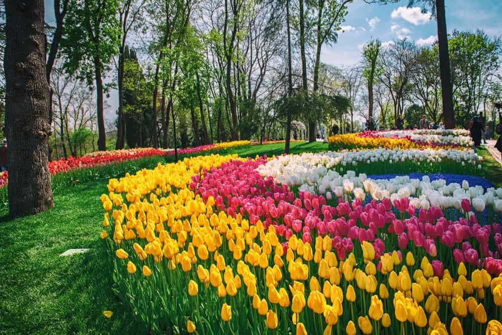 ??????? ???????? ?? ???????